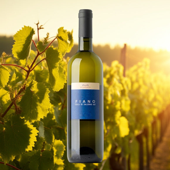 Fiano di Mila Vuolo ambiente vigna