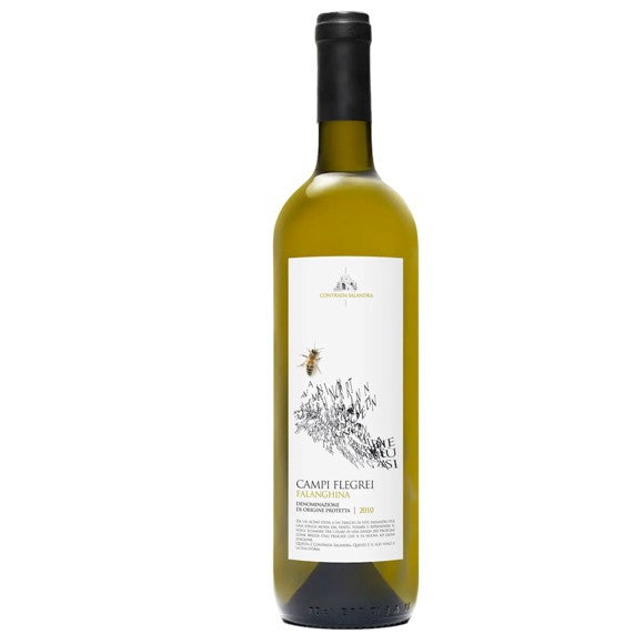 Campi Flegrei Falanghina DOP - Contrada Salandra