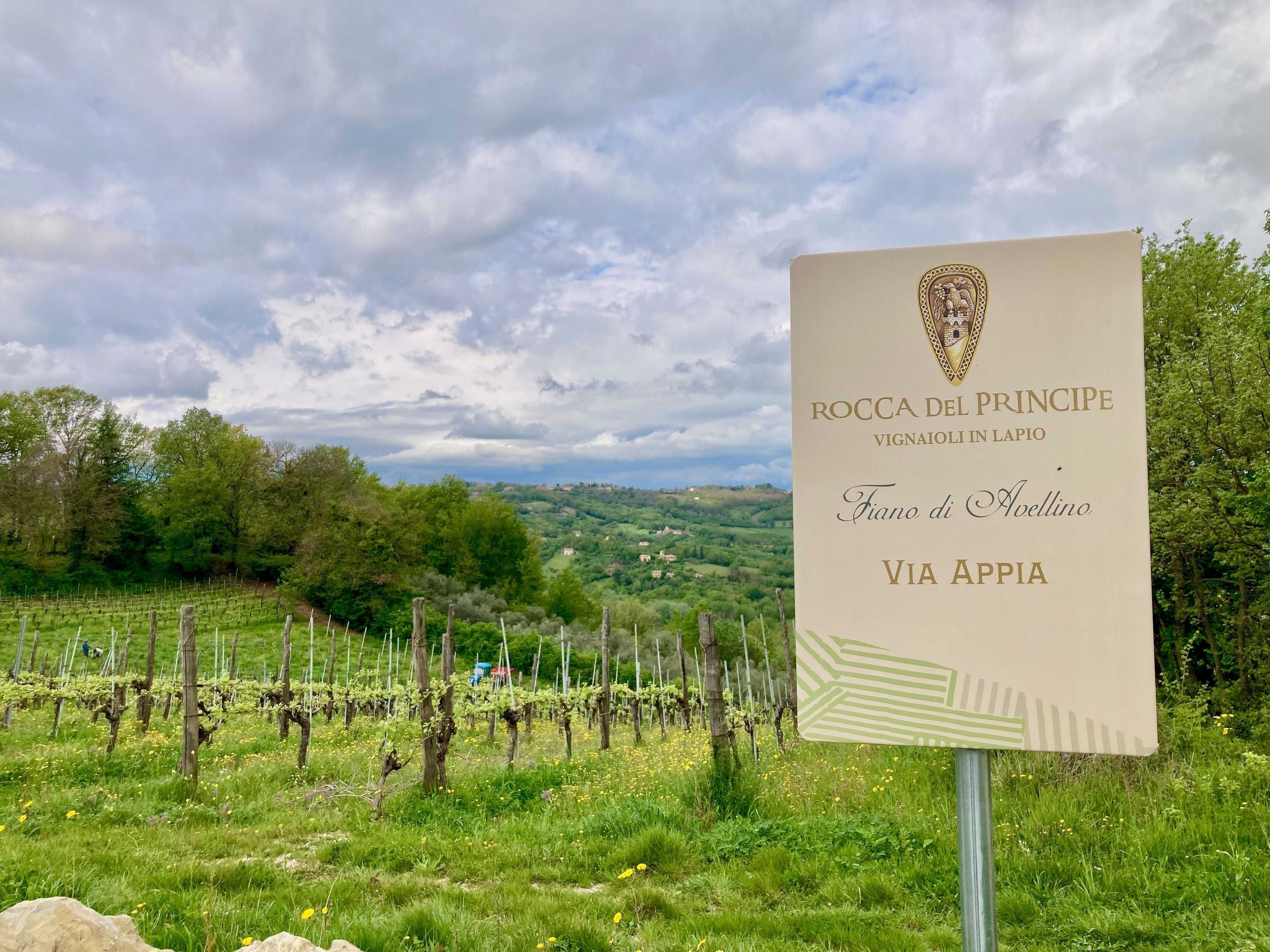 Le vigne del paesaggio a Lapio