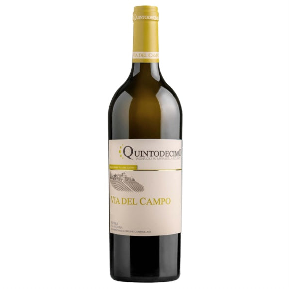 Irpinia Falanghina DOC Via Del Campo - Quintodecimo